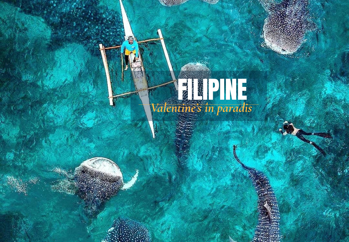  Filipine - Circuit - Valentine's Day