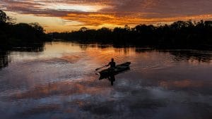 Brazilia amazonia