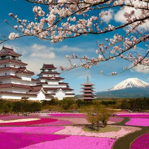 Circuit Japonia Sakura cu Travel Connect