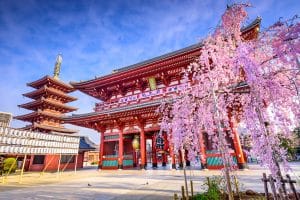 Circuit Japonia Sakura cu Travel Connect