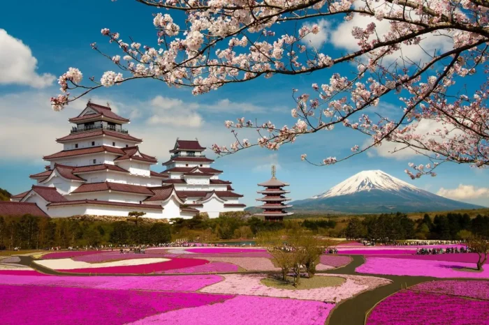Japonia Ciresilor Înfloriti – Paste 2027