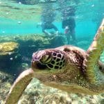 Circuite și Vacanțe Exotice in Filipine cu Travel Connect
