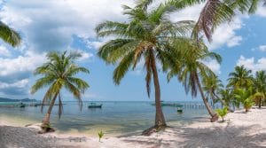 Circuite Travel Connect - Vacante cu insotitor Vietnam