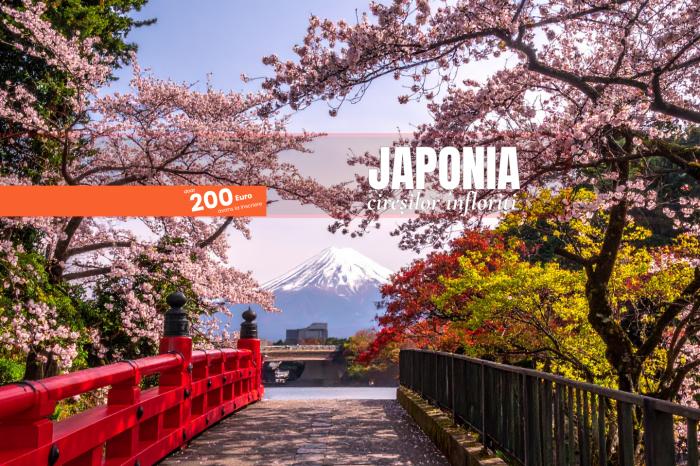 Japonia Cireșilor Înfloriți – Aprilie 2027