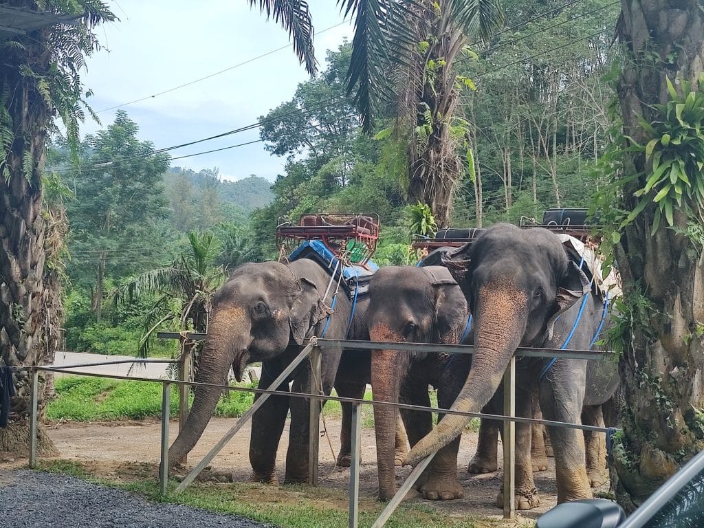 Circuit Thailanda cu Travel Connect