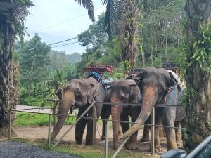 Circuit Thailanda cu Travel Connect