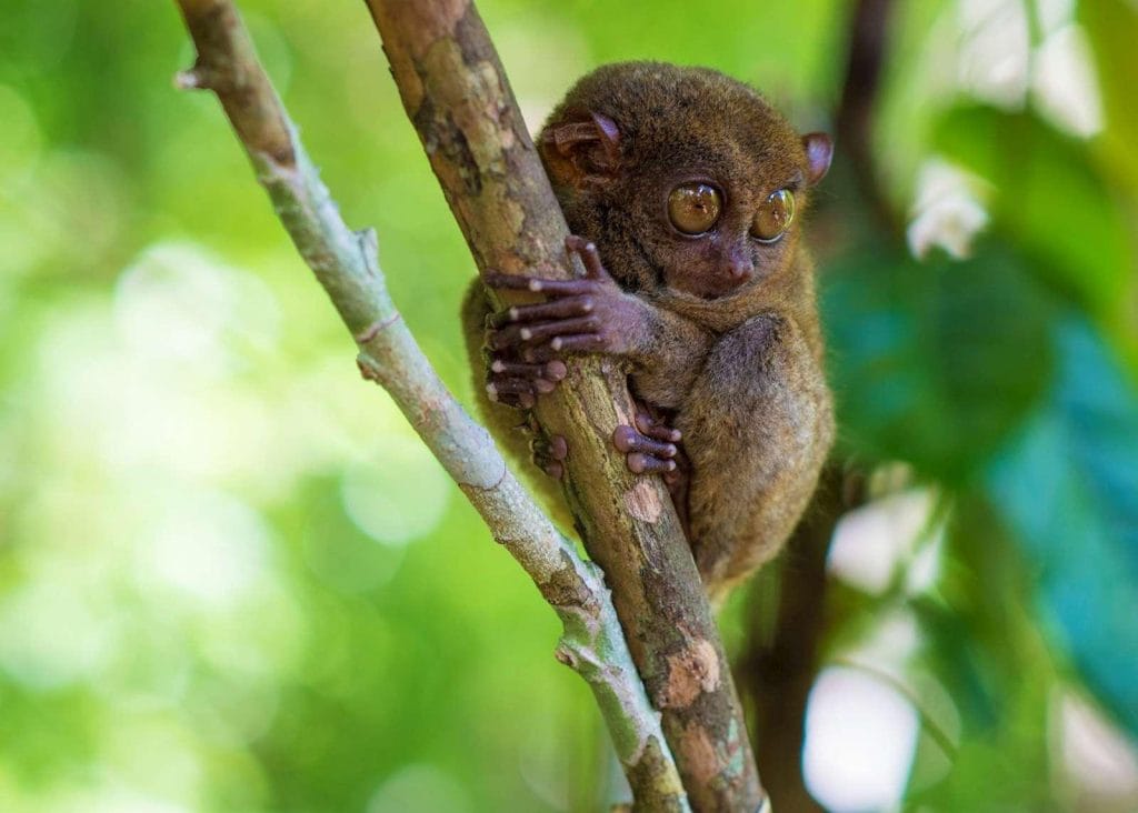 Costa Rica – Circuite și Vacanțe Exotice in Filipine cu Travel Connect