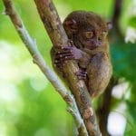 Costa Rica – Circuite și Vacanțe Exotice in Filipine cu Travel Connect