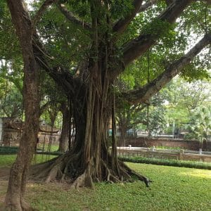 Circuit Vietnam cu Travel Connect - Vacante cu insotitor