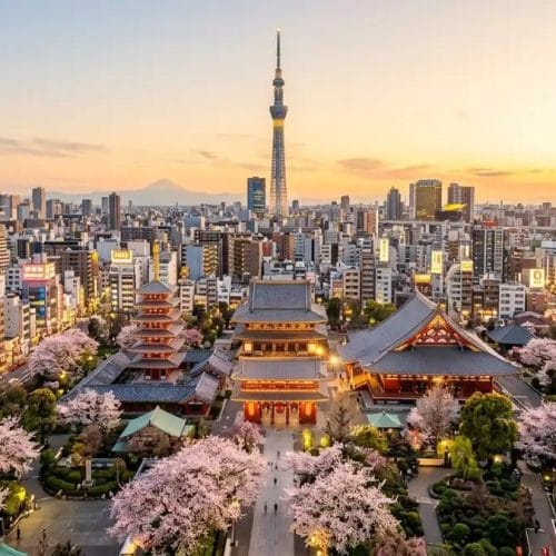Circuit Japonia Sakura 2027 cu Travel Connect