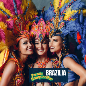 Circuit Brazilia - Carnavalul de la Rio si Iguazu cu Travel Connect