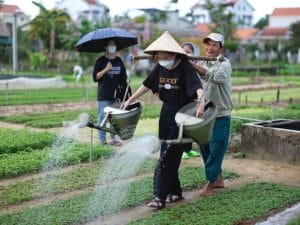 Circuit Vietnam cu Travel Connect - Vacante cu insotitor