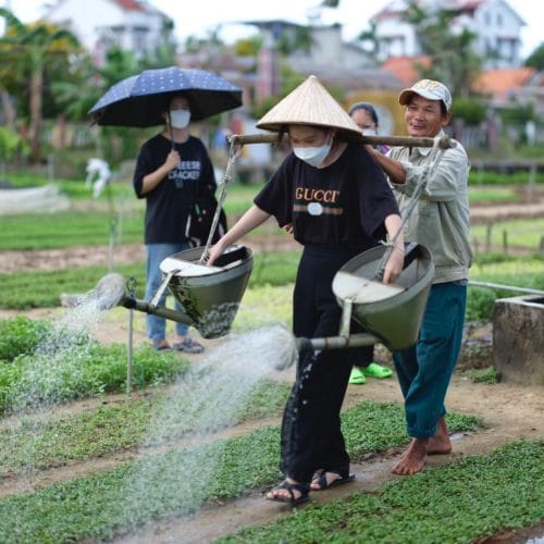 Circuit Vietnam cu Travel Connect - Vacante cu insotitor