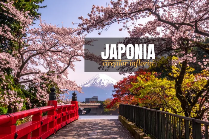 Japonia Cireșilor Înfloriți – Aprilie 2027