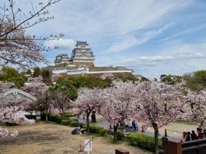 Circuit Japonia Autentica cu Travel Connect