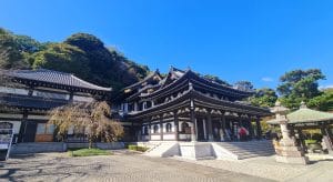 Circuit Japonia Autentica cu Travel Connect