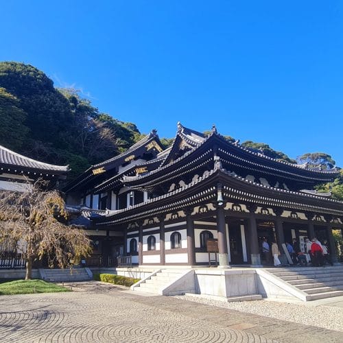 Circuit Japonia Autentica cu Travel Connect
