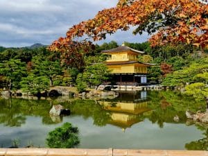 Circuit Japonia Autentica cu Travel Connect