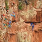 Descopera America de Sud Travel Connect - Circuite exotice Circuit Brazilia - Paraguay -Argentina cu Travel Connect