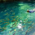 Descopera America de Sud Travel Connect - Circuite exotice Circuit Brazilia - Paraguay -Argentina cu Travel Connect