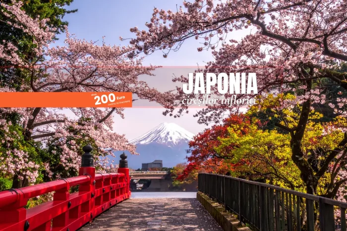 Japonia Esențială – Sakura 2027