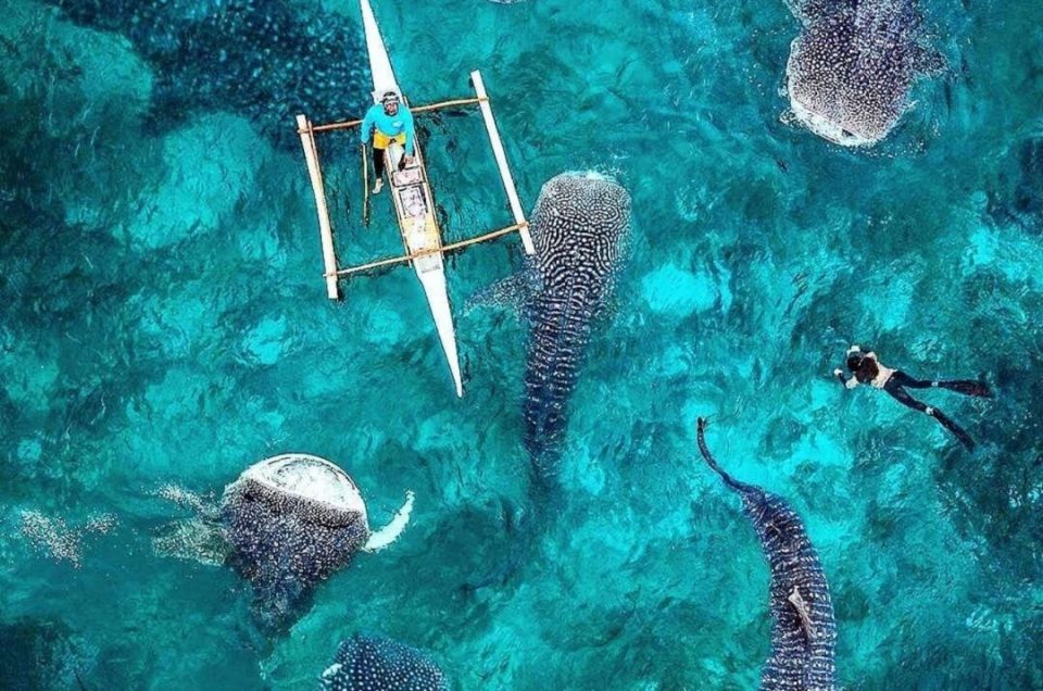 Filipine – insule tropicale și experiențe marine