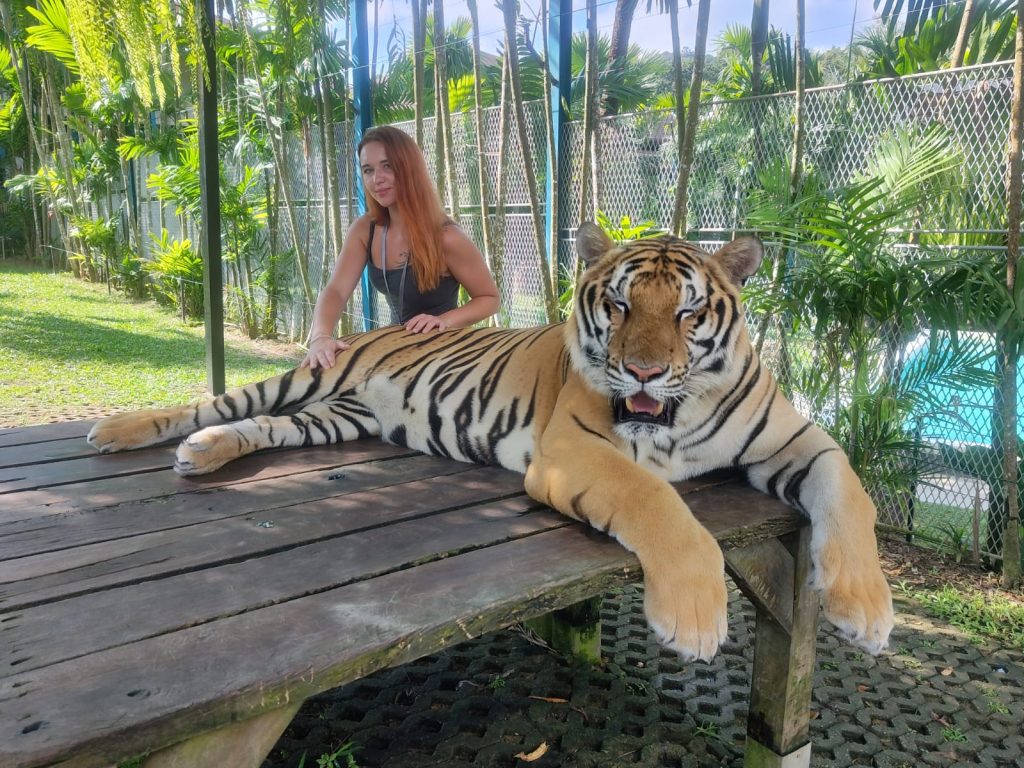 Circuite cu Travel Connect